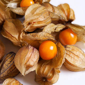 golden berries (physalis)
